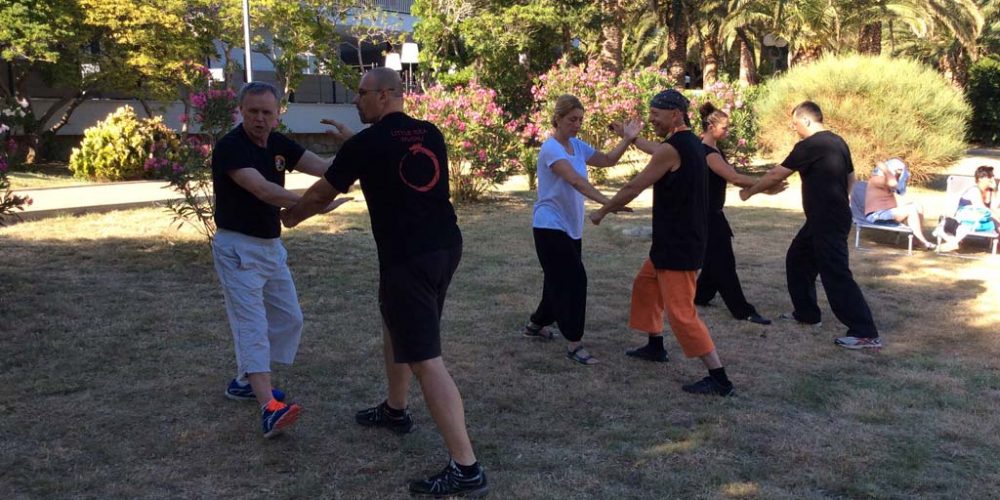 Održan prvi seminar na Rabu za instruktore wushu vještine i sporta