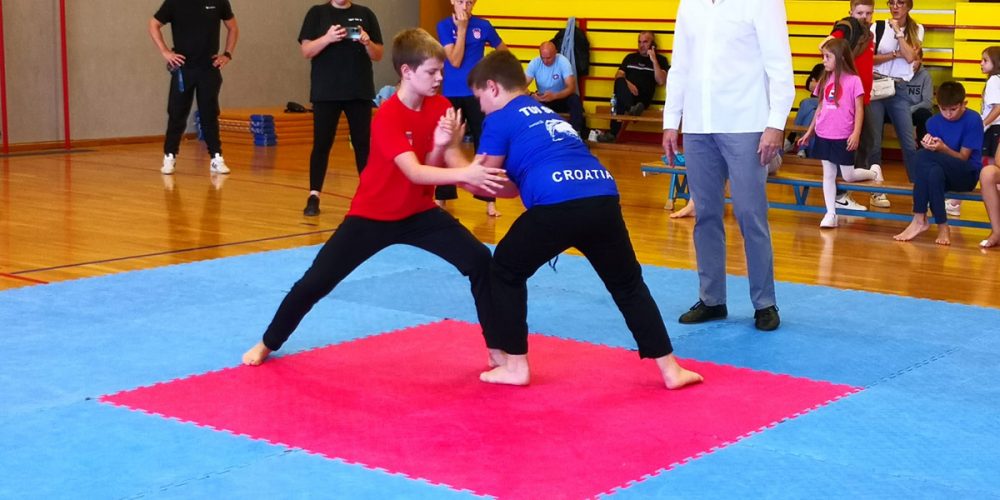 Wushu Kup Hrvatske održan u disciplinama light sanda i tui shou